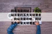 网站流量揭秘，了解网站流量的五大关键要素，网站流量攻略，揭秘五大流量关键要素