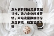 深入解析网站流量数据指标，助力企业精准营销，网站流量数据指标深度解读，精准营销之道