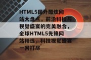 HTML5国外酷炫网站大盘点，前沿科技与视觉盛宴的完美融合，全球HTML5先锋网站精选，科技视觉盛宴一网打尽