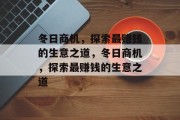 冬日商机，探索最赚钱的生意之道，冬日商机，探索最赚钱的生意之道