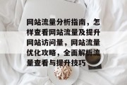 网站流量分析指南，怎样查看网站流量及提升网站访问量，网站流量优化攻略，全面解析流量查看与提升技巧