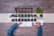 网站流量真假检测,揭秘流量背后的真相 网站流量真假检测,揭秘流量背后的真相