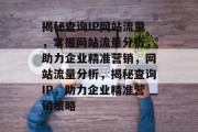 揭秘查询IP网站流量，掌握网站流量分析，助力企业精准营销，网站流量分析，揭秘查询IP，助力企业精准营销策略