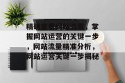 精确查看网站流量，掌握网站运营的关键一步，网站流量精准分析，网站运营关键一步揭秘