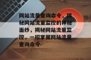 网站流量查询命令，揭秘网站流量监控的神秘面纱，揭秘网站流量监控，一招掌握网站流量查询命令