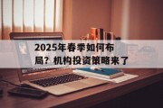 2025年春季如何布局?机构投资策略来了 2025年春季如何布局?机构投资策略来了