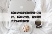 稻田改造的盈利模式探讨,稻田改造,盈利模式的深度探索 稻田改造的盈利模式探讨,稻田改造,盈利模式的深度探索