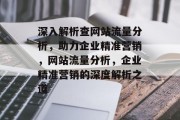 深入解析查网站流量分析，助力企业精准营销，网站流量分析，企业精准营销的深度解析之道