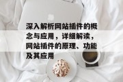 深入解析网站插件的概念与应用,详细解读,网站插件的原理、功能及其应用 深入解析网站插件的概念与应用,详细解读,网站插件的原理、功能及其应用