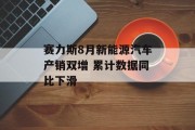 赛力斯8月新能源汽车产销双增 累计数据同比下滑