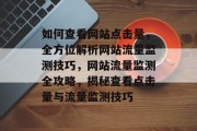 如何查看网站点击量，全方位解析网站流量监测技巧，网站流量监测全攻略，揭秘查看点击量与流量监测技巧