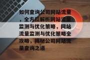 如何查询公司网站流量，全方位解析网站流量监测与优化策略，网站流量监测与优化策略全攻略，揭秘公司网站流量查询之道