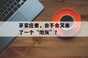 茅家庄里,会不会又来了一个“炮灰”? 茅家庄里,会不会又来了一个“炮灰”?