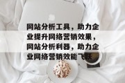 网站分析工具，助力企业提升网络营销效果，网站分析利器，助力企业网络营销效能飞跃