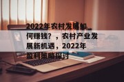 2022年农村发展如何赚钱?,农村产业发展新机遇,2022年盈利策略探讨 2022年农村发展如何赚钱?,农村产业发展新机遇,2022年盈利策略探讨
