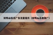 双鸭山投流广告流量提升（双鸭山百度推广）