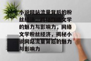 小说网站流量背后的粉丝经济，揭秘网络文学的魅力与影响力，网络文学粉丝经济，揭秘小说网站流量背后的魅力与影响力