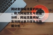 揭秘查网站流量的网址，助力网站优化与数据分析，网站流量揭秘，高效网址助力优化与数据分析