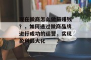 现在微商怎么做最赚钱?,如何通过微商品牌进行成功的运营,实现盈利最大化
