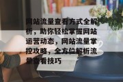 网站流量查看方式全解析，助你轻松掌握网站运营动态，网站流量掌控攻略，全方位解析流量查看技巧