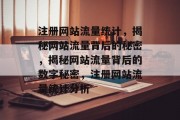注册网站流量统计，揭秘网站流量背后的秘密，揭秘网站流量背后的数字秘密，注册网站流量统计分析