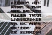 如何查看网站的流量？在互联网时代，对于任何想要提升自己的品牌知名度、拓展业务规模的企业来说，了解其网站的流量情况是非常重要的。那么，我们应该如何去查看呢？，流量监控，企业如何查看和优化网站的在线表现