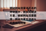 揭秘网站流量进不去的神秘面纱，原因及解决方案，破解网站流量困境，揭秘流量无法进入的真相与对策