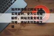 如何利用自己网站流量实现盈利，全方位攻略解析，网站流量变现全攻略，揭秘高效盈利之道