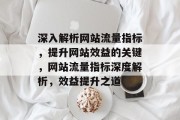 深入解析网站流量指标，提升网站效益的关键，网站流量指标深度解析，效益提升之道