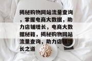 揭秘购物网站流量查询，掌握电商大数据，助力店铺增长，电商大数据秘籍，揭秘购物网站流量查询，助力店铺增长之道