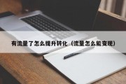 有流量了怎么提升转化（流量怎么能变现）