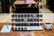 深入解析对手网站流量统计，掌握市场动态，提升自身竞争力，揭秘市场脉搏，深度分析对手网站流量，精准提升企业竞争力