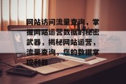 网站访问流量查询，掌握网站运营数据的秘密武器，揭秘网站运营，流量查询，您的数据掌控利器