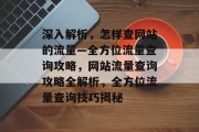 深入解析，怎样查网站的流量—全方位流量查询攻略，网站流量查询攻略全解析，全方位流量查询技巧揭秘