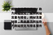 揭秘查流量的网站，助力网站优化，提升网站流量与排名，揭秘流量秘籍，专业查流网站助力网站优化与排名提升