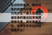 在闷热的夏天,贩卖绿色的寂静与宁静——探讨为什么一些人选择在澜沧县的曼达拉等地摆摊做生意,澜沧县曼达拉,繁荣生意背后的秘密是什么? 在闷热的夏天,贩卖绿色的寂静与宁静——探讨为什么一些人选择在澜沧县的曼达拉等地摆摊做生意,澜沧县曼达拉,繁荣生意背后的秘密是什么?
