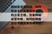 揭秘卖流量网站，如何在这个行业里找到自己的立足之地，流量网站运营攻略，如何脱颖而出在流量交易市场中立足