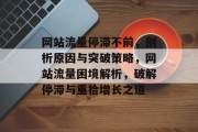 网站流量停滞不前，剖析原因与突破策略，网站流量困境解析，破解停滞与重拾增长之道