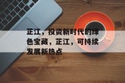 芷江,投资新时代的绿色宝藏,芷江,可持续发展新热点 芷江,投资新时代的绿色宝藏,芷江,可持续发展新热点