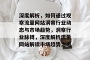 深度解析，如何通过观察流量网站洞察行业动态与市场趋势，洞察行业脉搏，深度解析流量网站解读市场趋势之道