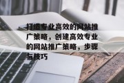 打造专业高效的网站推广策略，创建高效专业的网站推广策略，步骤与技巧