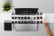 上海网站关键词优化公司的专业服务，上海专业网站关键词优化服务