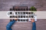 新网站如何有效增加流量，全方位策略解析，新网站流量增长攻略，全方位策略解析