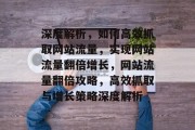 深度解析，如何高效抓取网站流量，实现网站流量翻倍增长，网站流量翻倍攻略，高效抓取与增长策略深度解析