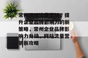 常州网站流量营销，提升企业品牌影响力的新策略，常州企业品牌影响力升级，网站流量营销新攻略