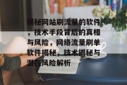 揭秘网站刷流量的软件，技术手段背后的真相与风险，网络流量刷单软件揭秘，技术揭秘与潜在风险解析