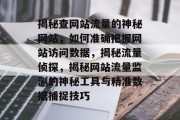 揭秘查网站流量的神秘网站，如何准确把握网站访问数据，揭秘流量侦探，揭秘网站流量监测的神秘工具与精准数据捕捉技巧
