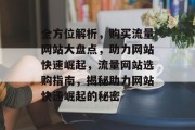 全方位解析，购买流量网站大盘点，助力网站快速崛起，流量网站选购指南，揭秘助力网站快速崛起的秘密