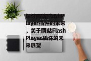 探讨网站FlashPlayer插件的未来,关于网站FlashPlayer插件的未来展望 探讨网站FlashPlayer插件的未来,关于网站FlashPlayer插件的未来展望