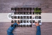 网站自然流量提升攻略，如何利用优质素材吸引精准自然流量，打造自然流量增长引擎，优质素材吸粉攻略